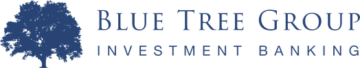 Blue Tree Group - Investment Banking